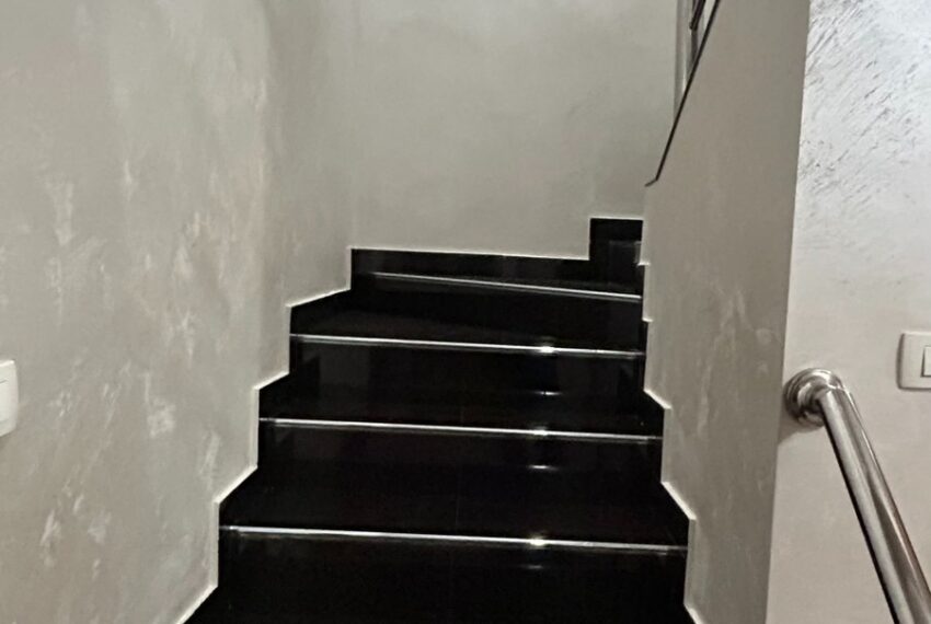 95b46392-f7e2-4b73-9f03-52cac09dc77f