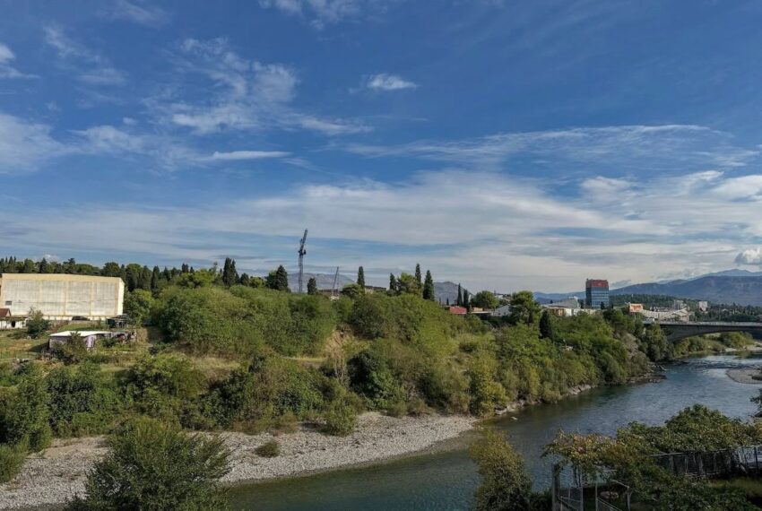 c9a62425-a485-4a50-b5f6-cca3b95520d1